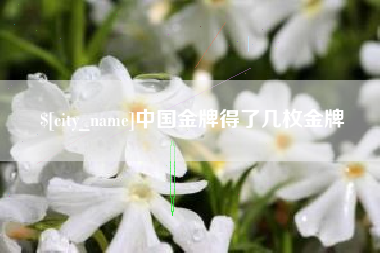 临汾中国金牌得了几枚金牌