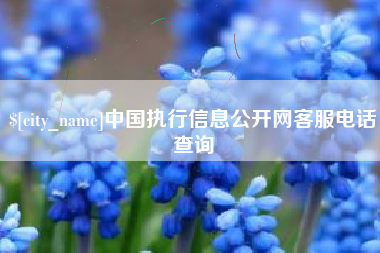 临汾中国执行信息公开网客服电话查询