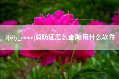 临汾消防证怎么查询,用什么软件