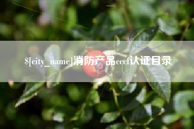 临汾消防产品cccf认证目录