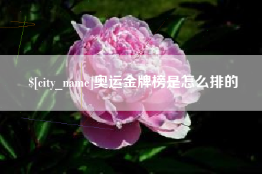 临汾奥运金牌榜是怎么排的