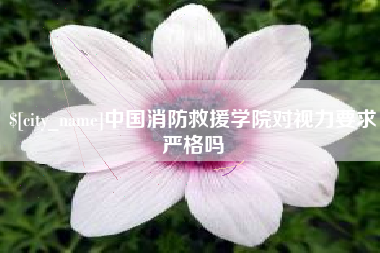 临汾中国消防救援学院对视力要求严格吗
