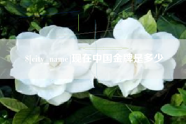临汾现在中国金牌是多少