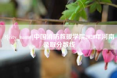 临汾中国消防救援学院2020年河南录取分数线