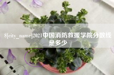 临汾2021中国消防救援学院分数线是多少