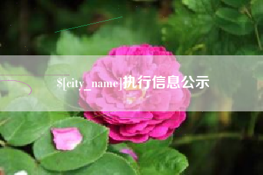 临汾执行信息公示