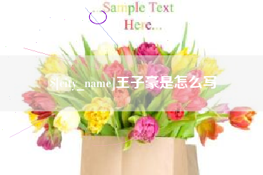 临汾王子豪是怎么写