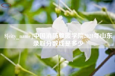 临汾中国消防救援学院2021年山东录取分数线是多少