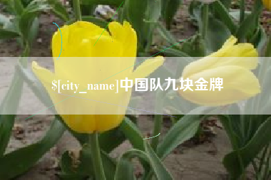 临汾中国队九块金牌