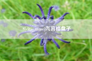 临汾九宫格盘子