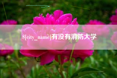 临汾有没有消防大学