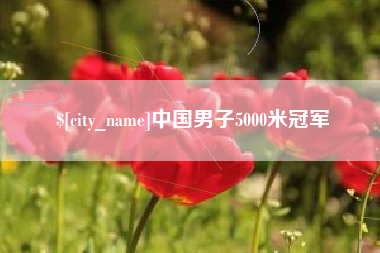 临汾中国男子5000米冠军