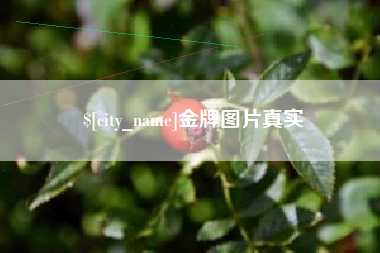 临汾金牌图片真实