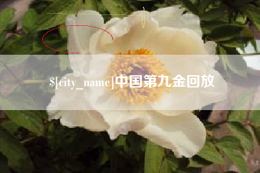 临汾中国第九金回放