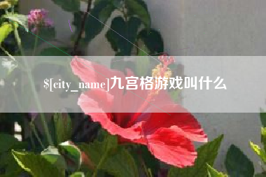 临汾九宫格游戏叫什么