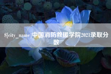 临汾中国消防救援学院2021录取分数