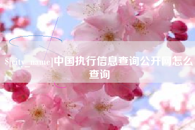 临汾中国执行信息查询公开网怎么查询
