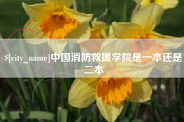 临汾中国消防救援学院是一本还是二本
