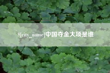 临汾中国夺金大项是谁