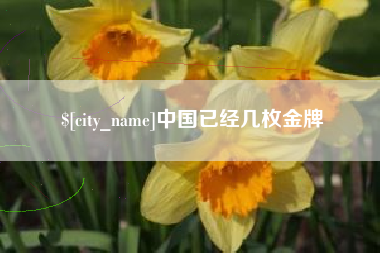 临汾中国已经几枚金牌