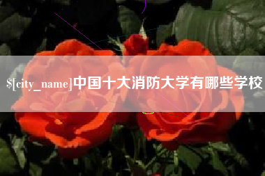 临汾中国十大消防大学有哪些学校