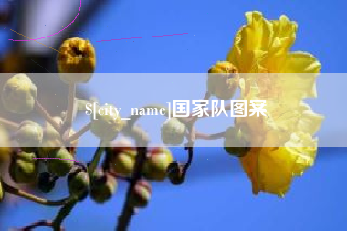 临汾国家队图案
