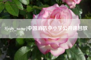 临汾中国消防中小学公开课回放