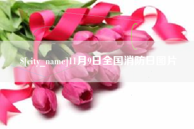 临汾11月9日全国消防日图片