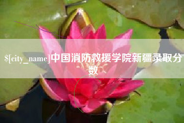 临汾中国消防救援学院新疆录取分数