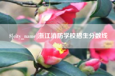 临汾浙江消防学校招生分数线