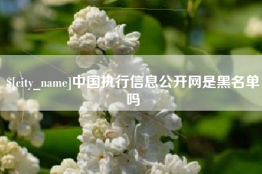 临汾中国执行信息公开网是黑名单吗