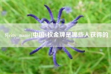 临汾中国6枚金牌是哪些人获得的