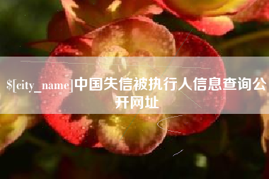 临汾中国失信被执行人信息查询公开网址