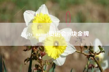 临汾奥运会39块金牌