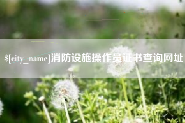 临汾消防设施操作员证书查询网址