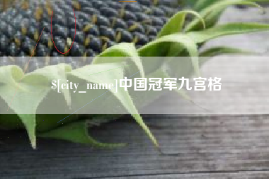 临汾中国冠军九宫格