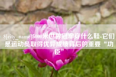 临汾5000米世界冠军穿什么鞋-它们是运动员取得优异成绩背后的重要“功臣”