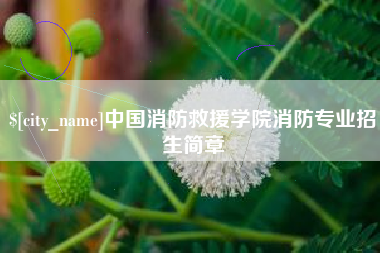 临汾中国消防救援学院消防专业招生简章