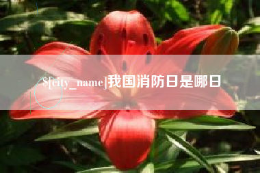 临汾我国消防日是哪日