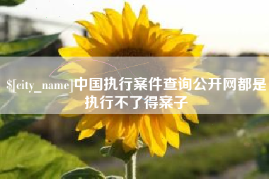 临汾中国执行案件查询公开网都是执行不了得案子