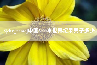 临汾中国5000米世界纪录男子多少