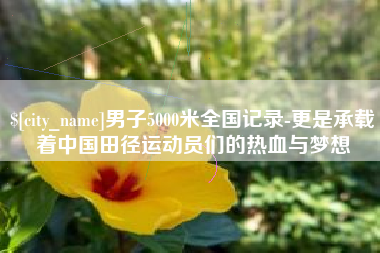 临汾男子5000米全国记录-更是承载着中国田径运动员们的热血与梦想