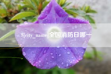 临汾全国消防日哪一