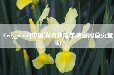 临汾中国消防救援学院官网首页查询