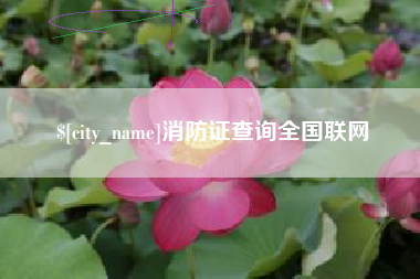 临汾消防证查询全国联网