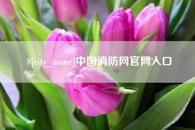 临汾中国消防网官网入口