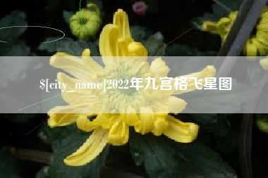 临汾2022年九宫格飞星图