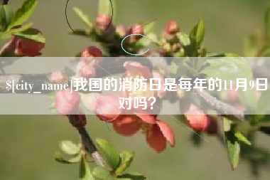 临汾我国的消防日是每年的11月9日对吗？