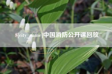 临汾中国消防公开课回放