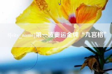 临汾第一波奥运金牌“九宫格”